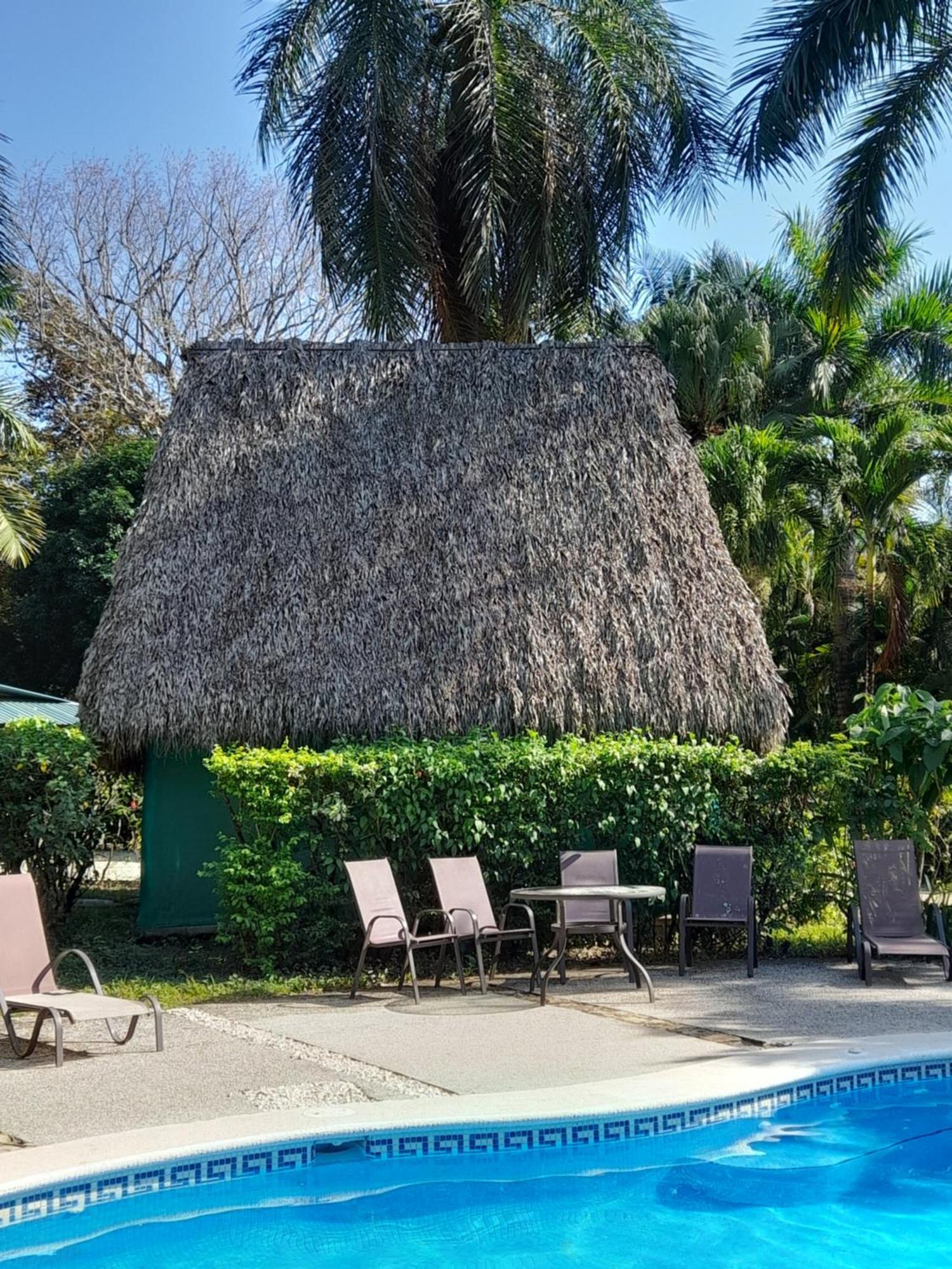 Hotel Mal Pais Surf Camp Playa Santa Teresa  Exteriér fotografie