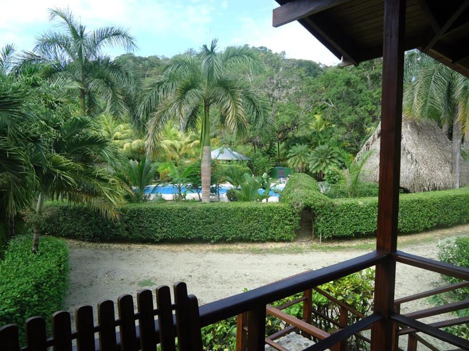 Hotel Mal Pais Surf Camp Playa Santa Teresa  Exteriér fotografie